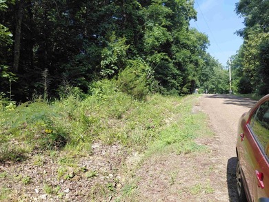 8 Lots in Ozark Acres in North Central Arkansas. Just outside - photo 10