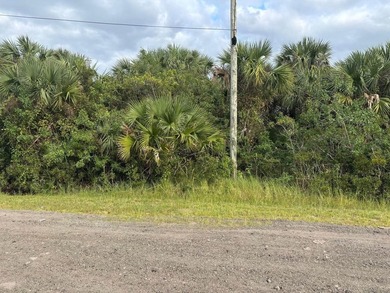 Beautiful Palm Bay building lot. Take advantage of our owner - photo 1