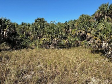 Beautiful Palm Bay building lot. Take advantage of our owner - photo 2