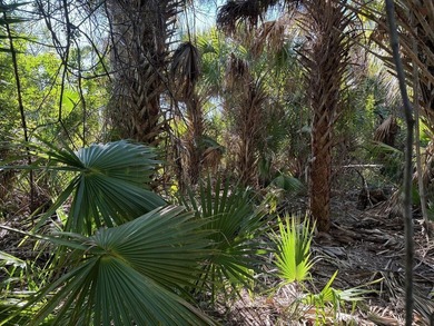 Beautiful Palm Bay building lot. Take advantage of our owner - photo 3