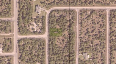 Beautiful Palm Bay building lot. Take advantage of our owner - photo 4