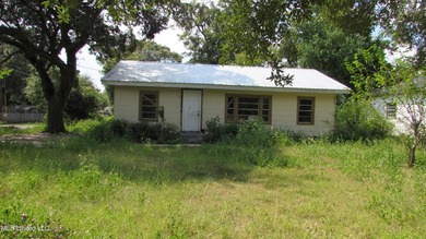 Fixer upper close to town, corner lot with newer metal roof - photo 1
