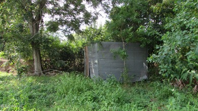 Fixer upper close to town, corner lot with newer metal roof - photo 4