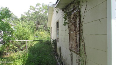 Fixer upper close to town, corner lot with newer metal roof - photo 5