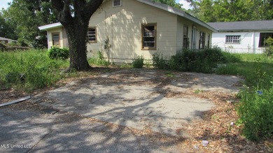 Fixer upper close to town, corner lot with newer metal roof - photo 6