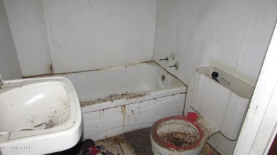 Fixer upper close to town, corner lot with newer metal roof - photo 8