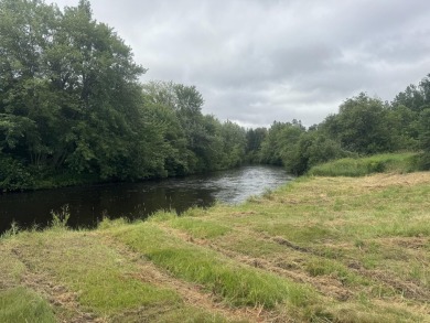 (private lake, pond, creek) Lot For Sale in Germfask Michigan