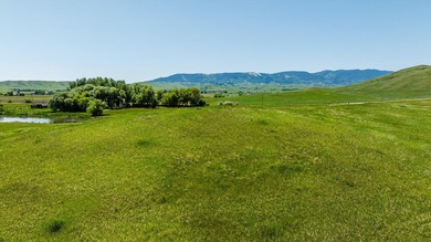 (private lake, pond, creek) Acreage For Sale in Big Horn Wyoming