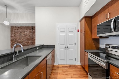 Urban oasis in the heart of Downtown New Haven! Welcome to The