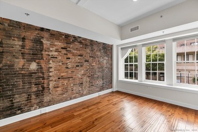 Urban oasis in the heart of Downtown New Haven! Welcome to The