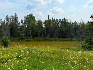 (private lake, pond, creek) Lot For Sale in Pickford Michigan
