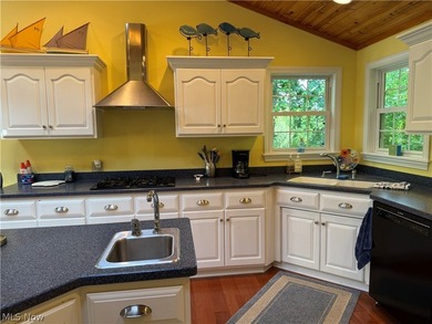 Terrific REMODELED LAKEFRONT with 288 FEET OF LAKE FRONTAGE - photo 12