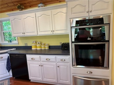 Terrific REMODELED LAKEFRONT with 288 FEET OF LAKE FRONTAGE - photo 13