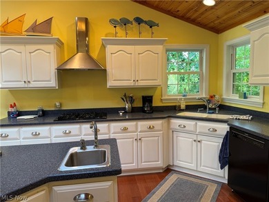 Terrific REMODELED LAKEFRONT with 288 FEET OF LAKE FRONTAGE - photo 14