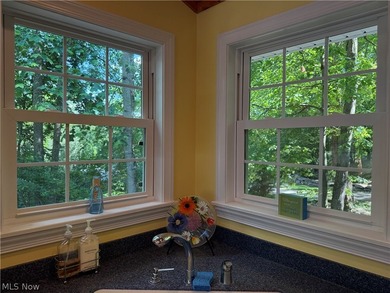 Terrific REMODELED LAKEFRONT with 288 FEET OF LAKE FRONTAGE - photo 15