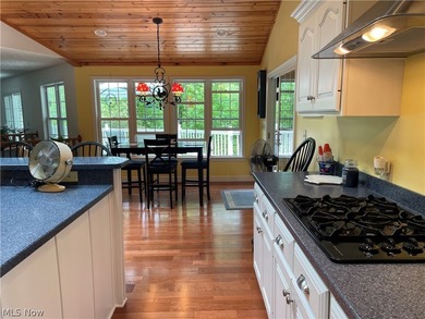 Terrific REMODELED LAKEFRONT with 288 FEET OF LAKE FRONTAGE - photo 16
