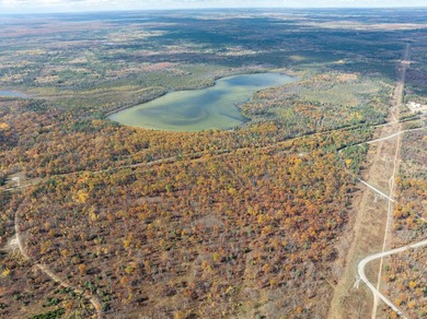 TURTLE LAKE / OTSEGO COUNTY, MI 1,408.88 Acres, 170+/- Acre - photo 5