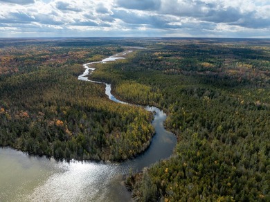 TURTLE LAKE / OTSEGO COUNTY, MI 1,408.88 Acres, 170+/- Acre - photo 6