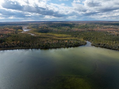 TURTLE LAKE / OTSEGO COUNTY, MI 1,408.88 Acres, 170+/- Acre - photo 7