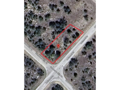 Lake Lot For Sale in Graford, Texas