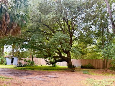 Spacious 4BR/3BA ranch in Saint Stephen with 3,228 sq. ft. of - photo 7