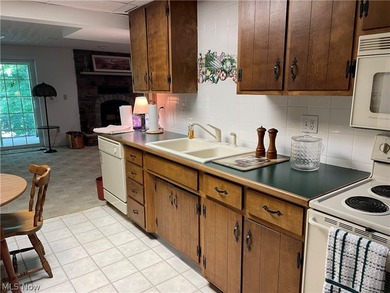 Terrific REMODELED LAKEFRONT with 288 FEET OF LAKE FRONTAGE - photo 43