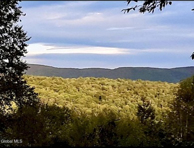 Lake Acreage For Sale in Stephentown, New York
