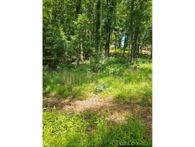  Lot For Sale in Georgetown Georgia