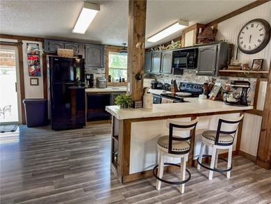 3 Full LOTS!!! 1) 3br 2 Ba updated in Rustic decor home with a - photo 8