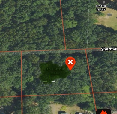 Great building site with a short distance to Tallman Lake and - Lake Lot For Sale in Fountain, Michigan
