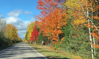 St. Marys River Lot For Sale in Sault Sainte Marie Michigan