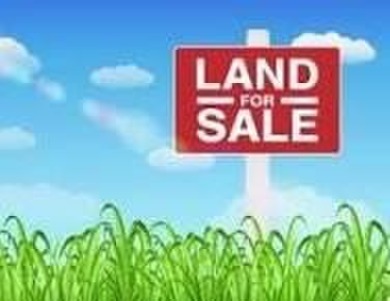 Lake Lot For Sale in Williamstown, Kentucky