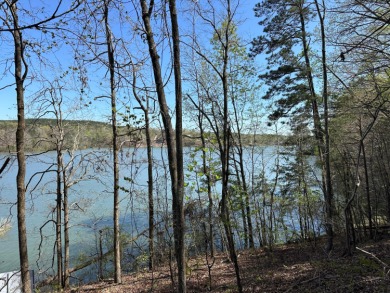 Smith Lake Dismal Creek- Highland Estates is a new development - photo 6