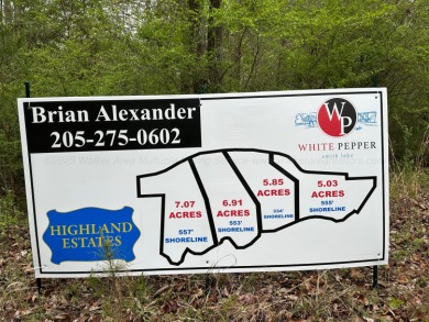 Smith Lake Dismal Creek- Highland Estates is a new development - photo 8