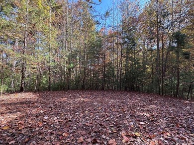 Discover the possibilities with this 8.07-acre mountain property - photo 1