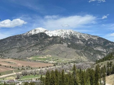 (private lake, pond, creek) Acreage For Sale in Irwin Idaho