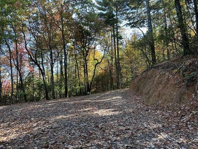 Discover the possibilities with this 8.07-acre mountain property - photo 3