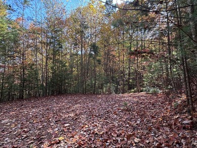 Discover the possibilities with this 8.07-acre mountain property - photo 5