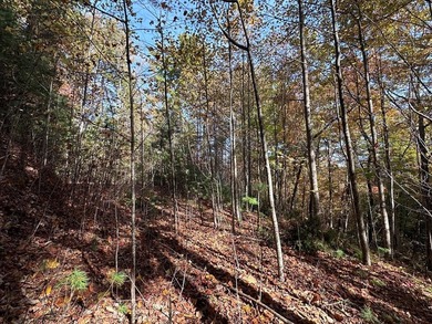 Discover the possibilities with this 8.07-acre mountain property - photo 6