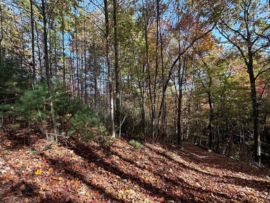 Discover the possibilities with this 8.07-acre mountain property - photo 7