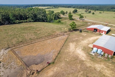 Don't miss out on this 138 +/- acres of pasture, a 3-bedroom - photo 29