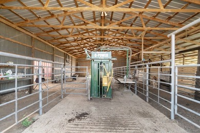 Don't miss out on this 138 +/- acres of pasture, a 3-bedroom - photo 34