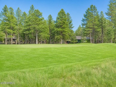 Fully Furnished Forest Highlands golf course estate, on a - photo 41