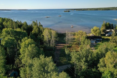 113' of vacant Lake Huron sand beach on Mismer Bay in Hessel - photo 3