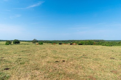 Don't miss out on this 138 +/- acres of pasture, a 3-bedroom - photo 43