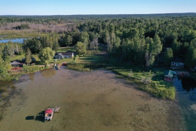 113' of vacant Lake Huron sand beach on Mismer Bay in Hessel - photo 4