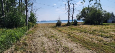 113' of vacant Lake Huron sand beach on Mismer Bay in Hessel - photo 5