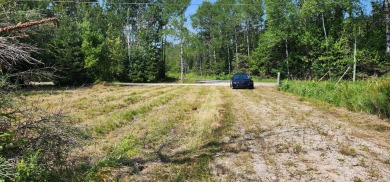113' of vacant Lake Huron sand beach on Mismer Bay in Hessel - photo 7