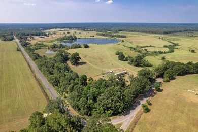 Don't miss out on this 138 +/- acres of pasture, a 3-bedroom - photo 47
