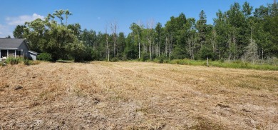 113' of vacant Lake Huron sand beach on Mismer Bay in Hessel - photo 10